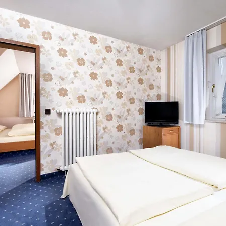 فندق Goldenes Fass In